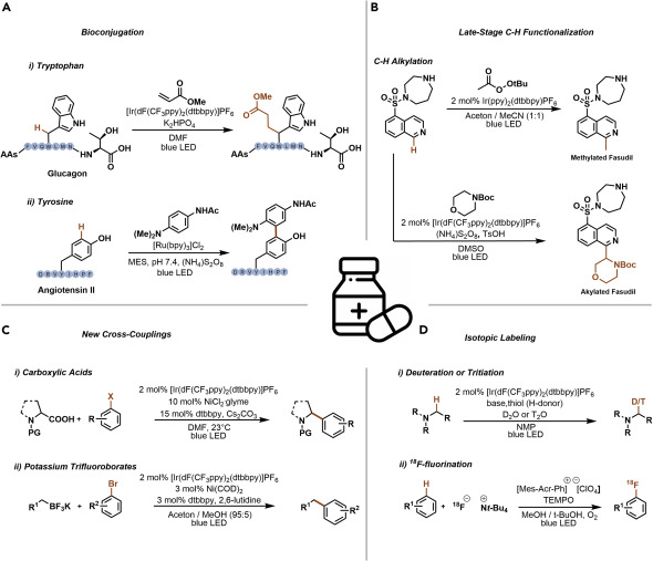 图 2.药物化学中感兴趣的光催化反应的代表性例子(A-D)生物共轭(A)、后期 CH功能化(B)、C sp3 -C sp2交叉偶联反应 (C)、同位素标记 (D)。 图 2.药物化学中感兴趣的光催化反应的代表性例子(A-D)生物共轭(A)、后期 CH功能化(B)、C sp3 -C sp2交叉偶联反应 (C)、同位素标记 (D)。