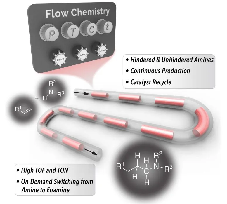 在连续分段流动反应器中加速受阻胺氢氨基甲基化的可回收协同催化剂 在连续分段流动反应器中加速受阻胺氢氨基甲基化的可回收协同催化剂