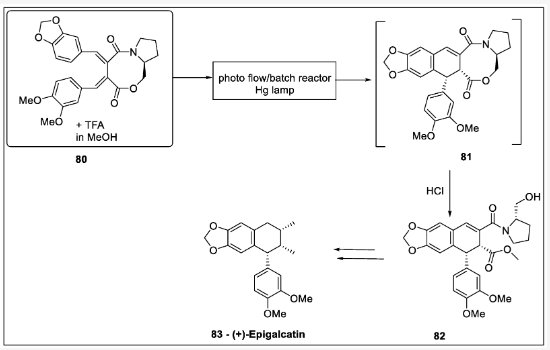 Scheme 24. (+)-Epigalcatin光催化制备