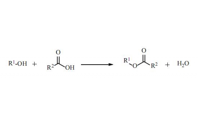酯化反应